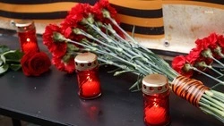 Аллею памяти обустроят в селе Вревском