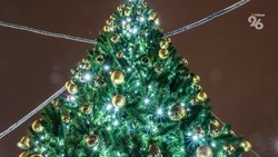 Муниципалитеты Ставрополья отказались от покупки новых ёлок и праздничных украшений